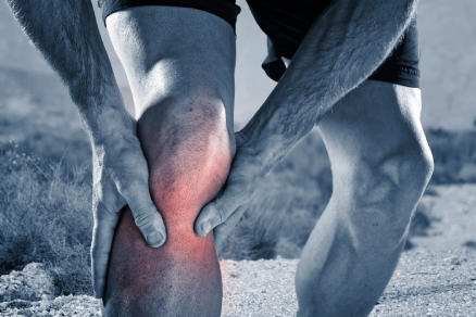 Anterior Cruciate Ligament Reconstruction