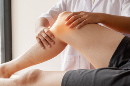 Posterior Cruciate Ligament Reconstruction